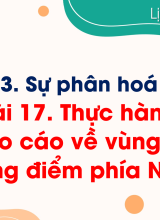 Bài 17. Thực hành Viết báo cáo về vùng kinh tế trọng điểm phía Nam